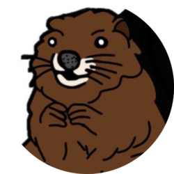 BOBER logo