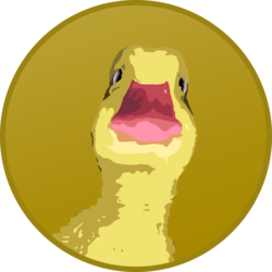 Duckereum logo
