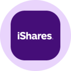 iShares MSCI EAFE ETF (Ondo Tokenized ETF) logo