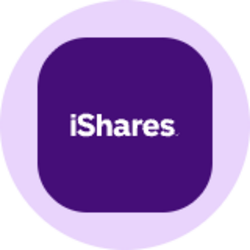iShares China Large-Cap ETF (Ondo Tokenized) logo