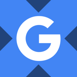Alphabet xStock logo