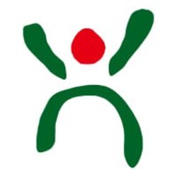HAVA logo