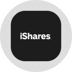 iShares Bitcoin Trust (Ondo Tokenized) logo