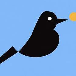 Magpie logo