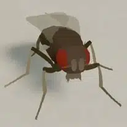 NeuroMechFly logo