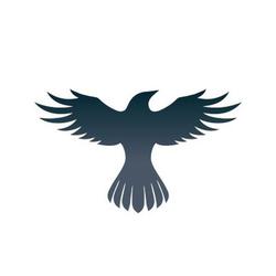 Raven Protocol logo