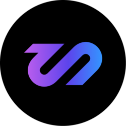 Skey Network logo