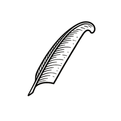 Nuance logo