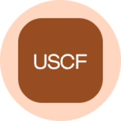 US Natural Gas Fund (Ondo Tokenized) logo