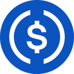 USDC logo