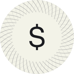 Solomon USDv logo