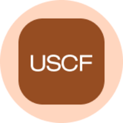 United States Oil Fund (Ondo Tokenized) logo