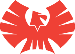 Wonderman Nation logo